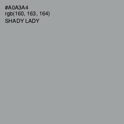 #A0A3A4 - Shady Lady Color Image